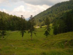 2013-07-07_Kotalm-Jochberg (129).JPG